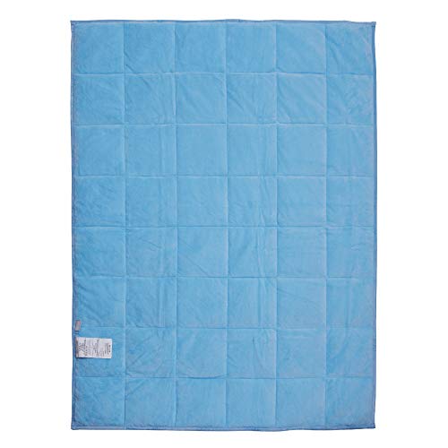 Franco Kids Bedding Super Soft Plush Weighted Blanket, 36 In X 48 In 4.5 Lb, Disney Frozen 2 #TOP1