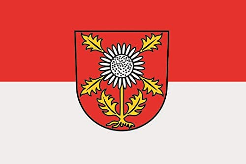 Drapeau de l'Egenhausen 150 x 250 cm idéal pour décoration de façade et fêtes locales