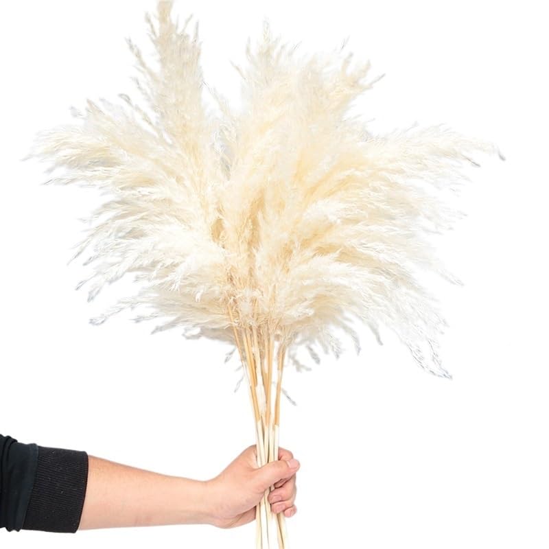 Pampas Grass Large Decorative Plumes Flores White, Pink Bouquet miniatura 6