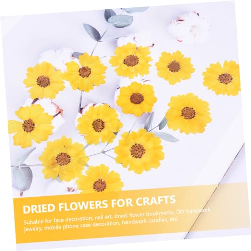 24 flores secas prensadas naturales para manualidades miniatura 4