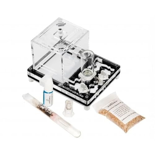 Kit éducatif de fourmis Anthouse avec reine incluse - Fourmilière acrylique professionnelle 10 x 12 x 1,3 cm pour enfants et débutants | Ferme de fourmis pour observation et apprentissage