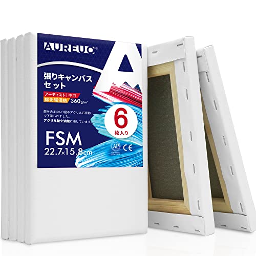 AUREUO 張りキャンバス セット FSM 中目 綿化繊混紡 6枚 初心者 絵画用具 芸術絵創作 現代油絵 美術装飾 水彩画 油絵画 アクリル兼用
