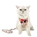 Ranphy Cat Harness and Leash for Walking Small Dog Harness No Pull Strip Pet Walking Vest No Choke Adjustable Soft Mesh Kitten Harness Escape Proof Red Size L