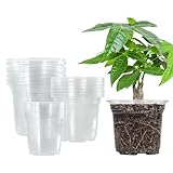 Bonviee 36 Packs 3.5/4/5 Inch Clear Nursery Pots, Transparent Plastic Planter...