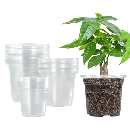 Bonviee 36 Packs 3.5/4/5 Inch Clear Nursery Pots, Transparent Plastic Planter with Drainage Holes, Seed Starting Pot Flower Plant Container -Clear Cle