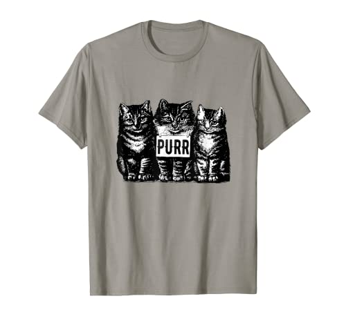 Vintage Aesthetic Kittens Purr Retro Vibe Cat Lover T-Shirt for Men Women Kids