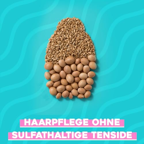 OGX Hydrate und Revive Argan Oil of Morocco Shampoo Haarpflege Shampoo feuchtigkeitsspendend mit Arganöl für trockenes, sprödes Haar, 385ml