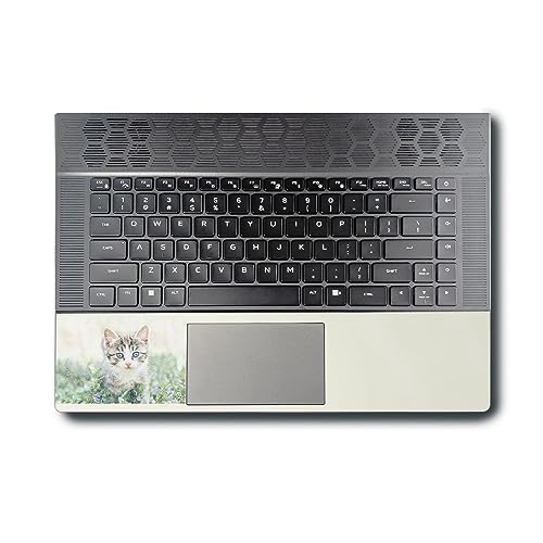 Image of MightySkins Glossy Glitter Skin Compatible with Alienware X16 R1 (2023) Full Wrap Kit - Blue Eyed Kitten | Protective, Durable High-Gloss Glitter Finish | Easy to Apply | Made in The USA