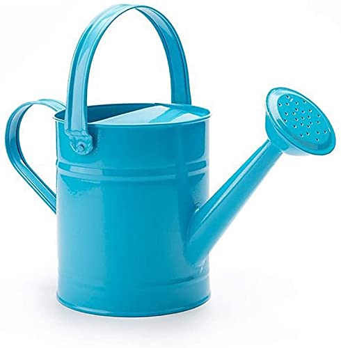 Bukhari Metal Watering Can with Long Spout | Watering Can for Outdoor Indoor House Garden Plants (Blue) 2 litres (B098NHHDRR) Amazon Price History, Amazon Price Tracker