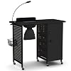 Homasis Rolling Manicure Table Nail Table with Electric Dust Catcher Adjustable Light with Clip Removable Box Metal Basket Hand Cushion Door with Key and Lock for Spa Living Room
