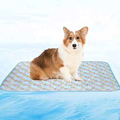 PIXRIY Dog Bed Mat Good Blue (Small, Blue) Cover