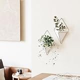 Zoom IMG-1 umbra trigg vasi da parete Zoom IMG-1 umbra trigg vasi da parete