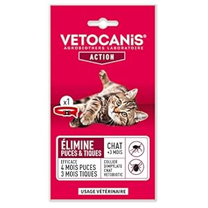 VETOCANIS COLLIER DIMPYLATE VETOBIOTIC| 4 Mois et Anti-Tiques 3 Mois Chat>3 Mois|Élimine les Puces Traitement à Usage Vétérinaire pour Chat|Couleur Rouge