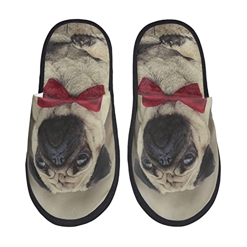 [LPYROSE] �X���b�p �a�m �p�O ���� ���[���V���[�Y ���q�p �n�E�X�X���b�p �� ����~�� �ʋC�� �É� �y�� �������� �R�ۉq�� ����� �k�� �_�炩�� ������� �����Y ���f�B�[�X �����p �I�[���V�[�Y���p