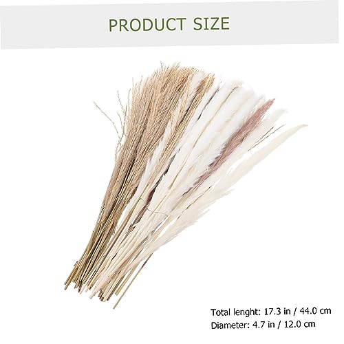 Luxshiny 300 Peças Flores de junco secas adereços de junco adereços de layout de palheta plantar dec