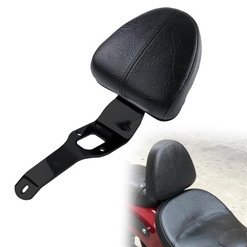 Appui-dos de conducteur moto pour Indian Scout ABS 2019-2020 sissy bar