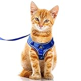 Fácil de Ajustar y Seguro: Puede ajustar las 4 hebillas deslizantes al tamaño de su mascota para ajustar la tensión del arnés del gatito, y la cinta reflectante puede ver claramente la dirección del perros incluso en la oscuridad, lo que hace que sea más seguro caminar de noche.