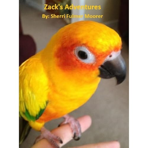 Zack's Adventures by Sherri Fulmer Moorer episode artwork
