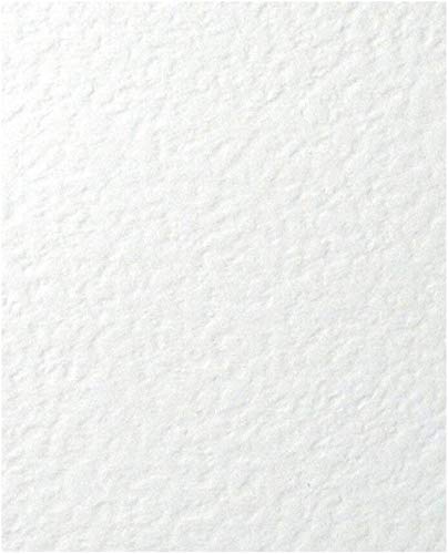 Zanders BIANCO A4 ZETA CARTA 100gsm Risma da 500