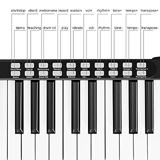 88 Touches Clavier Électronique Piano Touches Tactiles Pleine Taille Avec Bluetooth MIDI Piano Numérique Portable Avec Sac À Main Adaptateur Secteur for Débutants Adultes Enfants (Color : Black) - Les Beatles, Paul McCartney, John Lennon, RIngo Starr, George Harrison 88 Touches Clavier Électronique Piano Touches Tactiles Pleine Taille Avec Bluetooth MIDI Piano Numérique Portable Avec Sac À Main Adaptateur Secteur for Débutants Adultes Enfants (Color : Black) – Image 4