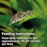 King British – Algae Wafers 40g – Multi-Vitamin Complete Sinking Fish Food – For Bottom Feeding Catfish, Plecostomus & Algae Eating Fish Natural Ingredients - Image 7