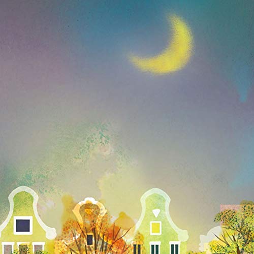 Amazon.co.jp: 額絵 [街路樹のある風景] 【月夜の街並み】 [F4] [横田