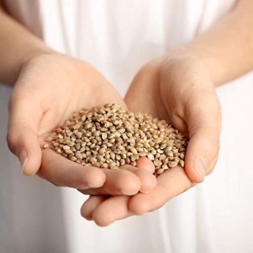 Civilized Coffee Hemp Seeds Whole Superfood for Snacking & Baking Gluten-Free, Jar (18 oz) - Thumbnail 4