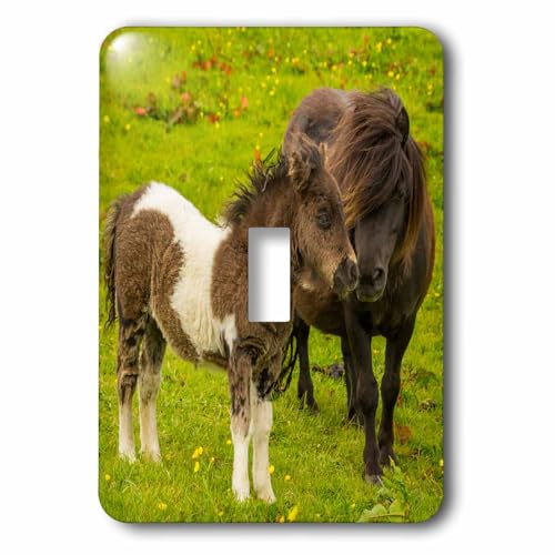 Interrupteur à baïonnette poney 3dRose pour remplacer plaque terne