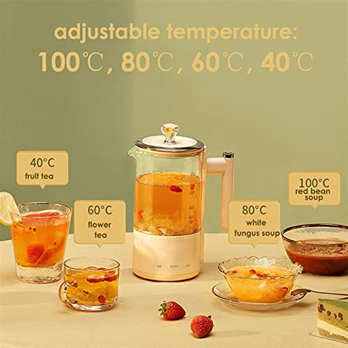 Bouilloire multifonction automatique de 600 ml pour infusions et thé