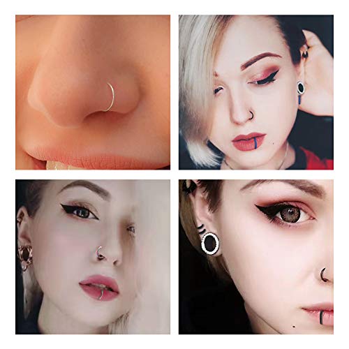 Wbrwp 316L Stainless-Steel Piercing-Ring Hinged Nose-Rings-Hoop : 20G Womens And Mens Body Pierecing Ring Segment Clicker Lip Rings Cartilage Rook Earrings Diameter 6Mm 8Mm 10Mm 12Mm Black #TOP5