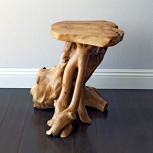 Welland Tree Stump Side Table, Live Edge Stool, Natural Edge Wood Side Table, Accent Table, 19" Tall #TOP5