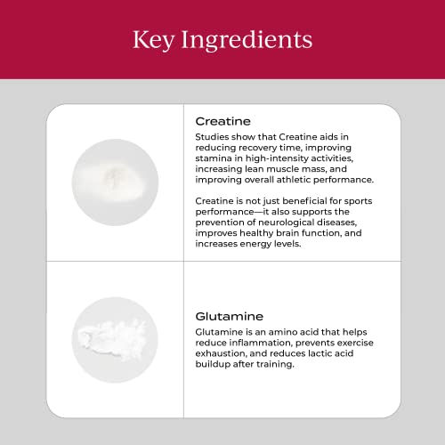 Cymbiotika Creatine+ & Plant-Based Protein Powder Bundle, Creatine And Glutamine Supplement + Plant Protein Drink & Smoothie Mix For Amino Energy, Recovery, Gut Health, And Muscle Mass #TOP3