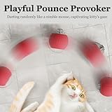 XUDUOO Cat Toys for Indoor Cats Adult, Interactive Dog Toys, Active Rolling Ball with Tail for Dogs, Rechargeable Pet Moving Toys, Automatic Pet Ball for All Floors & Carpet - Image 2