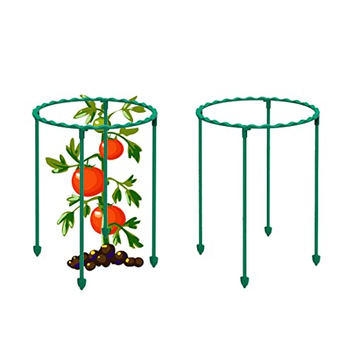 Fogwowo 2 Packs Tomato Cages Plant Support Cages,Assembled 1 Tier Adjustable Garden Trellis For Vegetables,Fruits,Climbing Plants,Pots,Flowers,Vines #TOP29