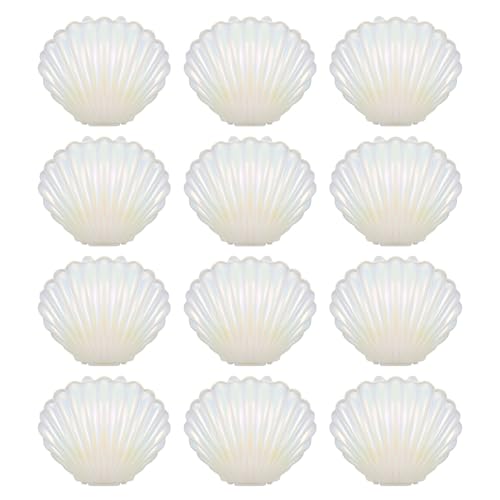 Boîtes à bonbons coquillage pour baptême et décoration de table d'anniversaire