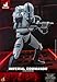 Hot Toys Imperial Commando Star Wars The Bad Batch TMP Fully Poseable Exclusive