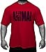 Produktbild Animal Iconic M-stak Premium Tee, rot, Mittel