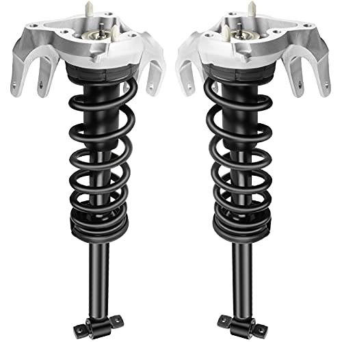ECCPP RWD Complete Struts Spring Assembly Front Struts