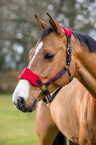 LeMieux Vogue Fleece Headcollar - Halter & Leadrope (Chilli - Pony) - 1