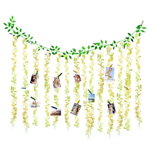 BEENIFIC Hanging Photo Display with Clips,Boho Picture Frames Collage Wall Decor Art,Christmas Card Display Board Holder for Bedroom Living Room,Teen Girl Gifts (Green)