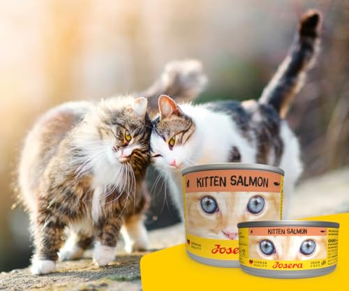 JOSERA Nassfutter Kitten Salmon (6 x 200 g) | Kitten | Premium Katzenfutter nass für wachsende Katzen | Lachs & Pastinake | mit Lachsöl | getreidefrei | Anti-Haarballen | Alleinfutter | 6er Pack