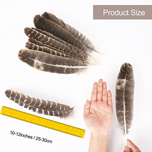 Outuxed 15Pcs Natural Turkey Feathers For Crafts, 10-12 Inches Large Feathers For Hat Floral Diy Home Wedding Party Decoration Collection #TOP1