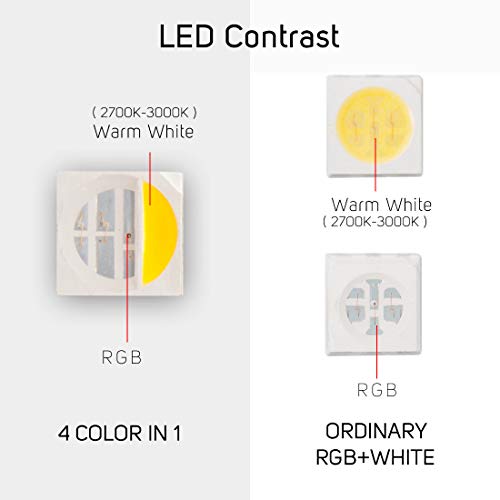 Btf-Lighting 5050 Rgbw Rgb+Warm White(2700K-3000K) 150Rgb+150White Led 5M 16.4Ft 60Leds/M Multi-Colored Led Tape Lights Ip67 Tube Waterproof White 10Mm Fpcb Dc12V For Bedroom Kitchen Home Decoration #TOP3