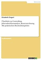 �berblick zu Controlling, Jahresabschlussanalyse, Kostenrechnung. Mit praktischen Rechenbeispielen 365684822X Book Cover