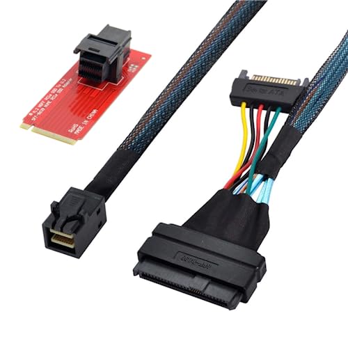 Ya en mundofriki.es: chenyang Cable SFF-8643 a U.2 SFF-8639 con adaptador SFF-8643 a NGFF para placa base U.2 SSD 750 P3600 P3700
