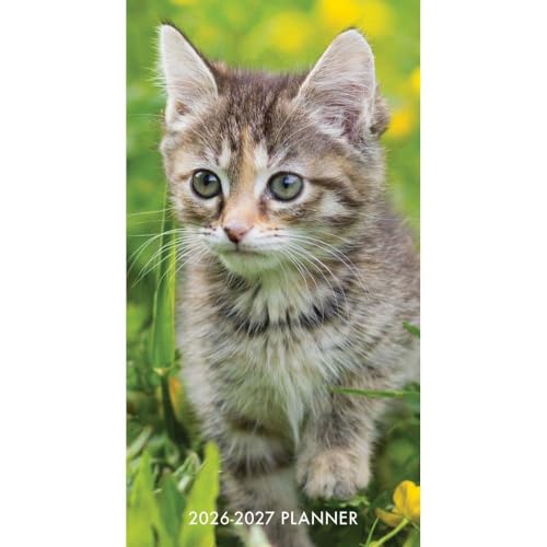 Willow Creek Press, Cute As A Kitten 2 Year 2026 Pocket Planner, 3.5'' X 6.5'', 12-Month Calendar with Stapled Binding