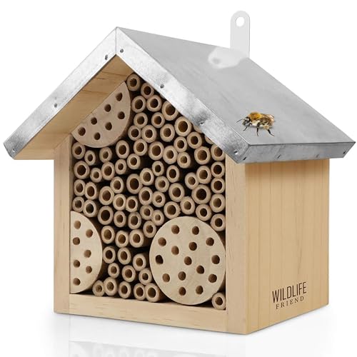 WILDLIFE FRIEND I hotel delle api con tetto in metallo, hotel per insetti api selvatiche - preassemblato in legno di pino e 100% resistente alle intemperie