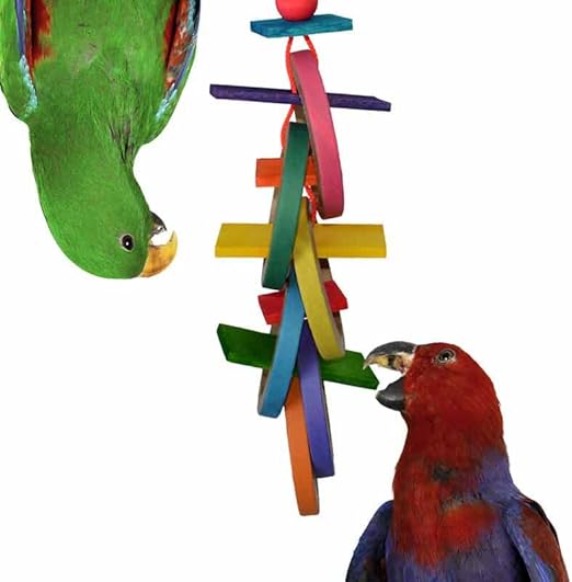 Super Bird Creations SB625 Olympic Rings Bird Toy, Large