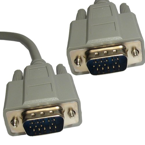 Preisvergleich Produktbild Goniatit Fossil Double Polished