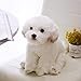 ASDFF Simulazione Maltese Dog Peluche Peluche Realistico Schnauzer Bichon Frise Giocattolo per Decorazioni per la casa di Lusso Regalo per Animali Domestici 1